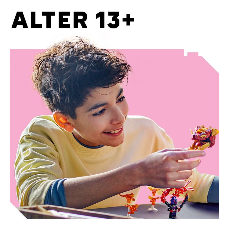 13+ -Spielzeug für 13-jährige und älter