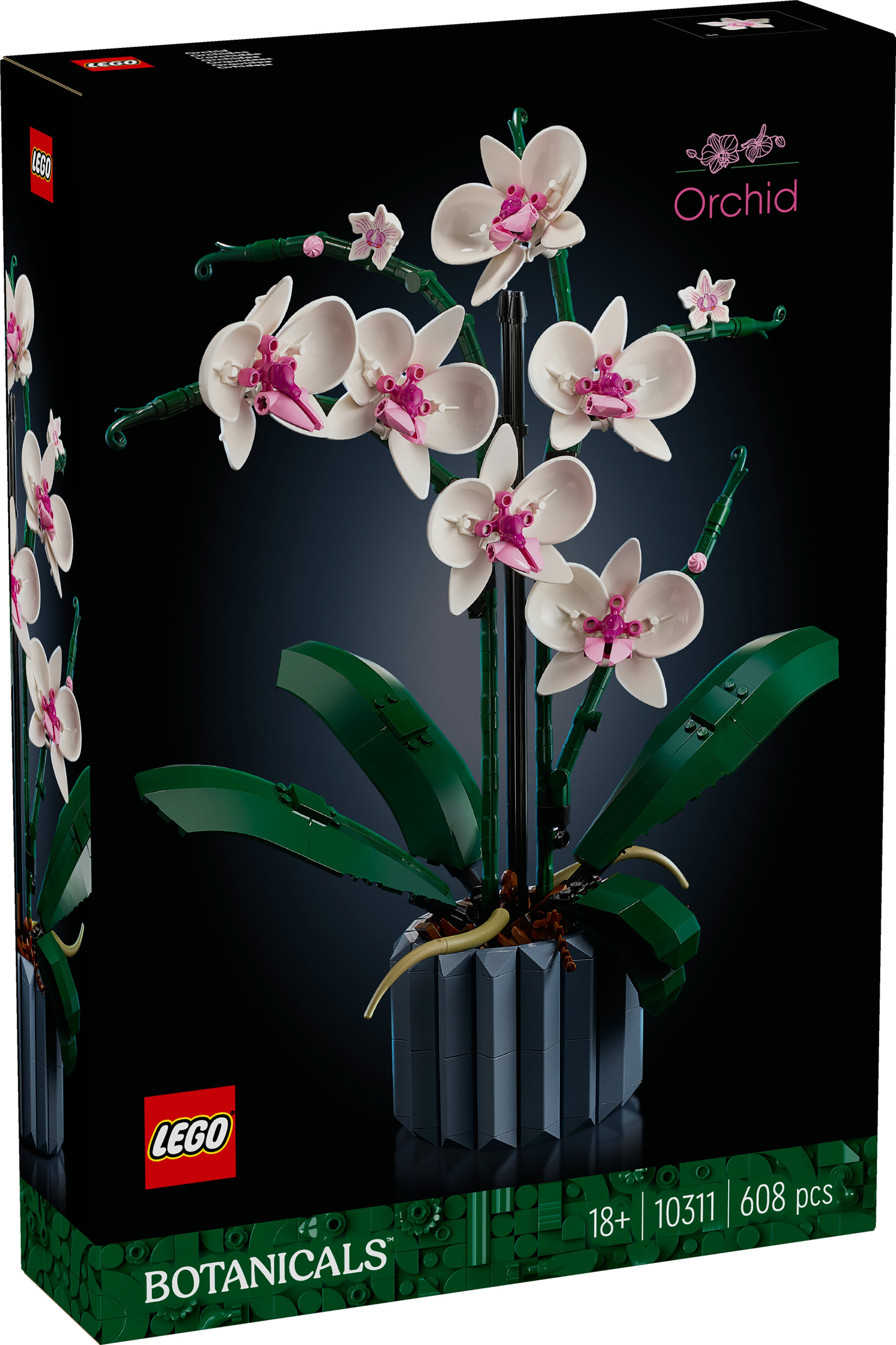 LEGO® 10311 Orchidee